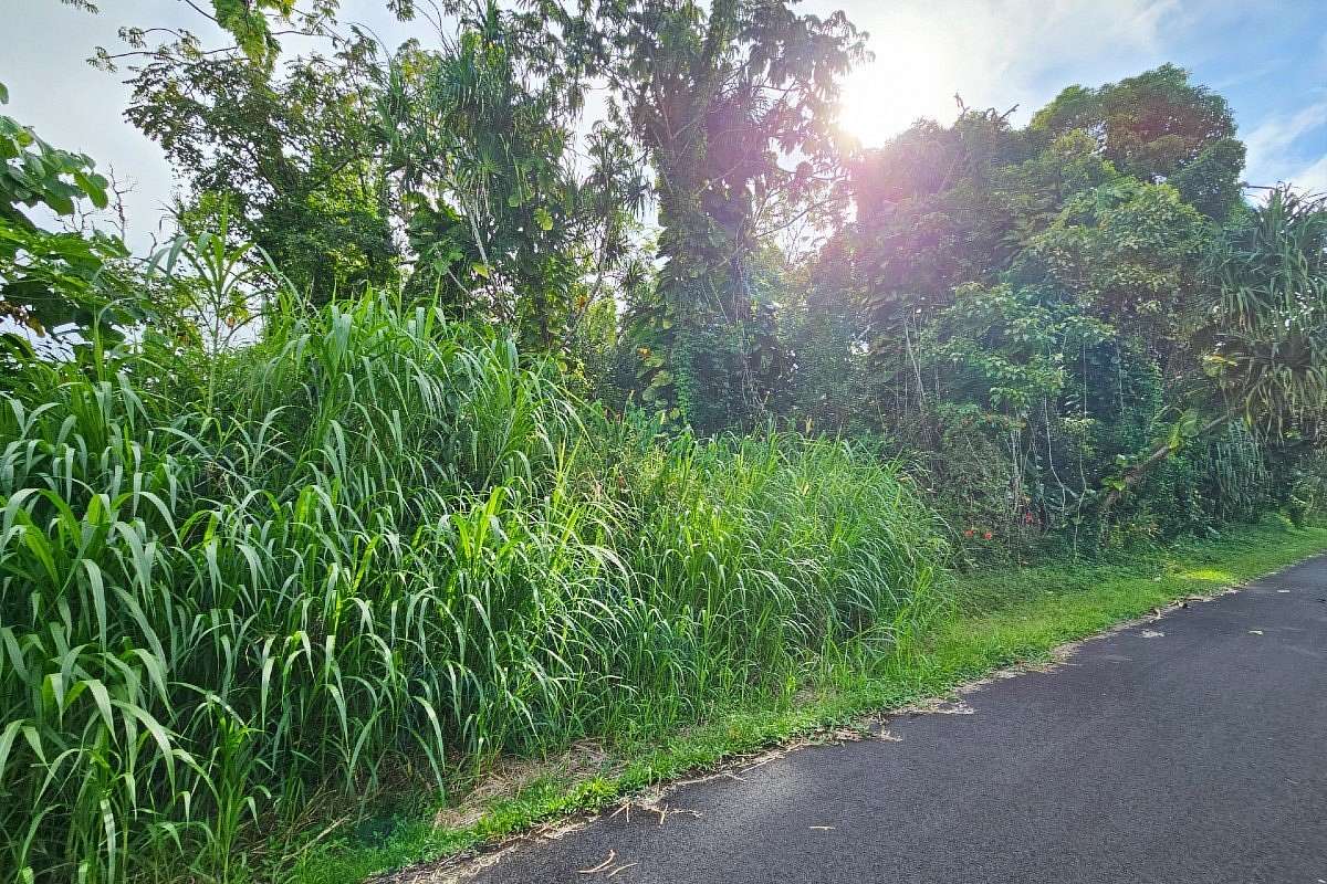 0.28 Acres of Residential Land for Sale in Pahoa, Hawaii - LandSearch