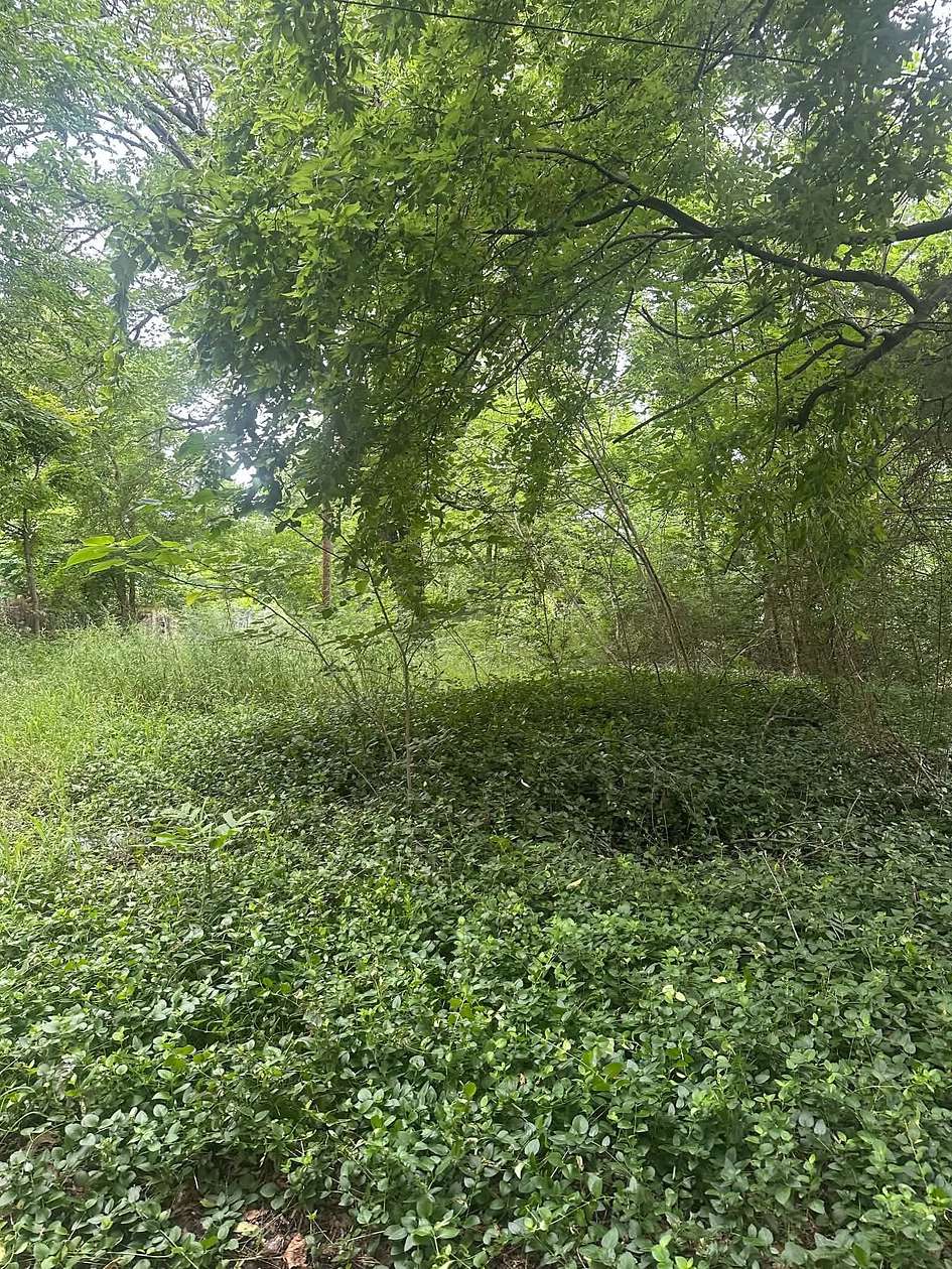 0.13 Acres of Residential Land for Sale in Paris, Texas