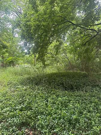 0.13 Acres of Residential Land for Sale in Paris, Texas