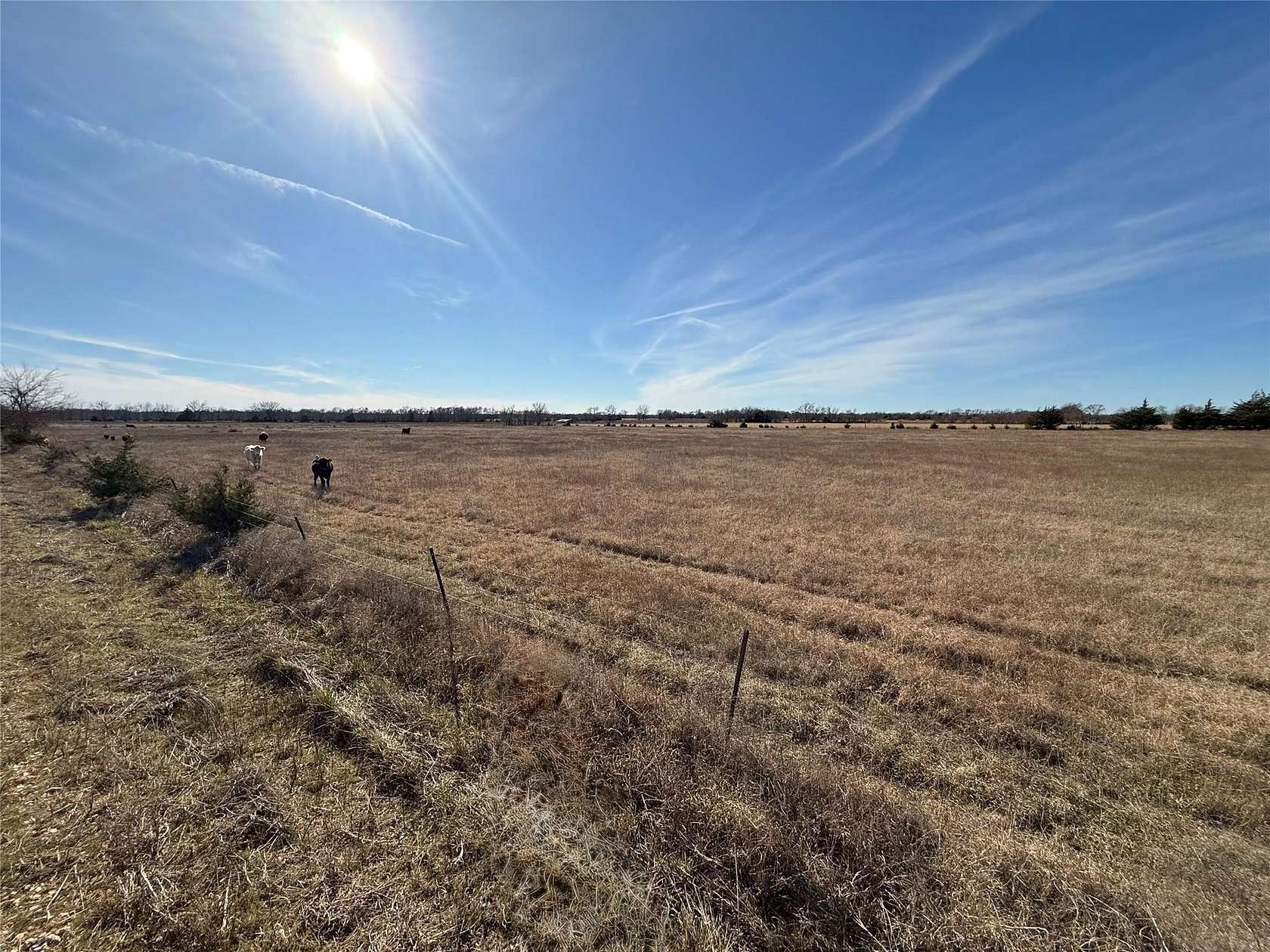 35.2 Acres of Land for Sale in Paris, Texas