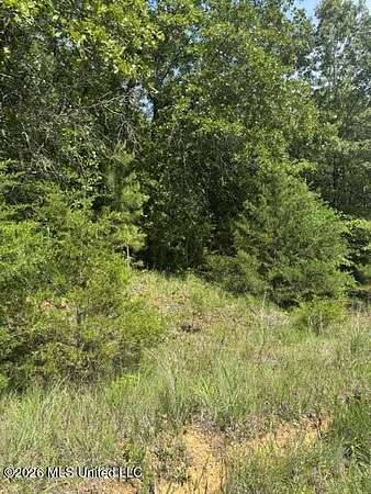 5.9 Acres of Residential Land for Sale in Byhalia, Mississippi
