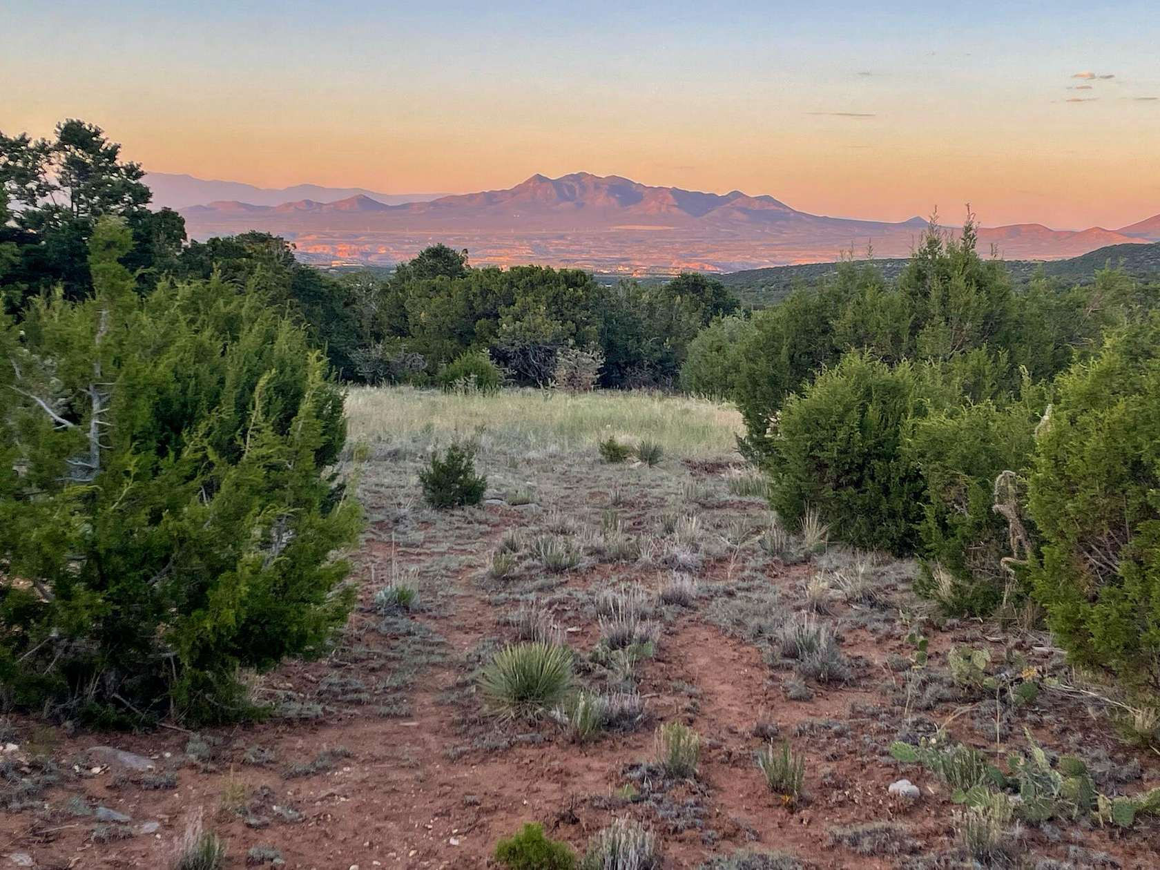 10 Acres of Land for Sale in Sandia Park, New Mexico
