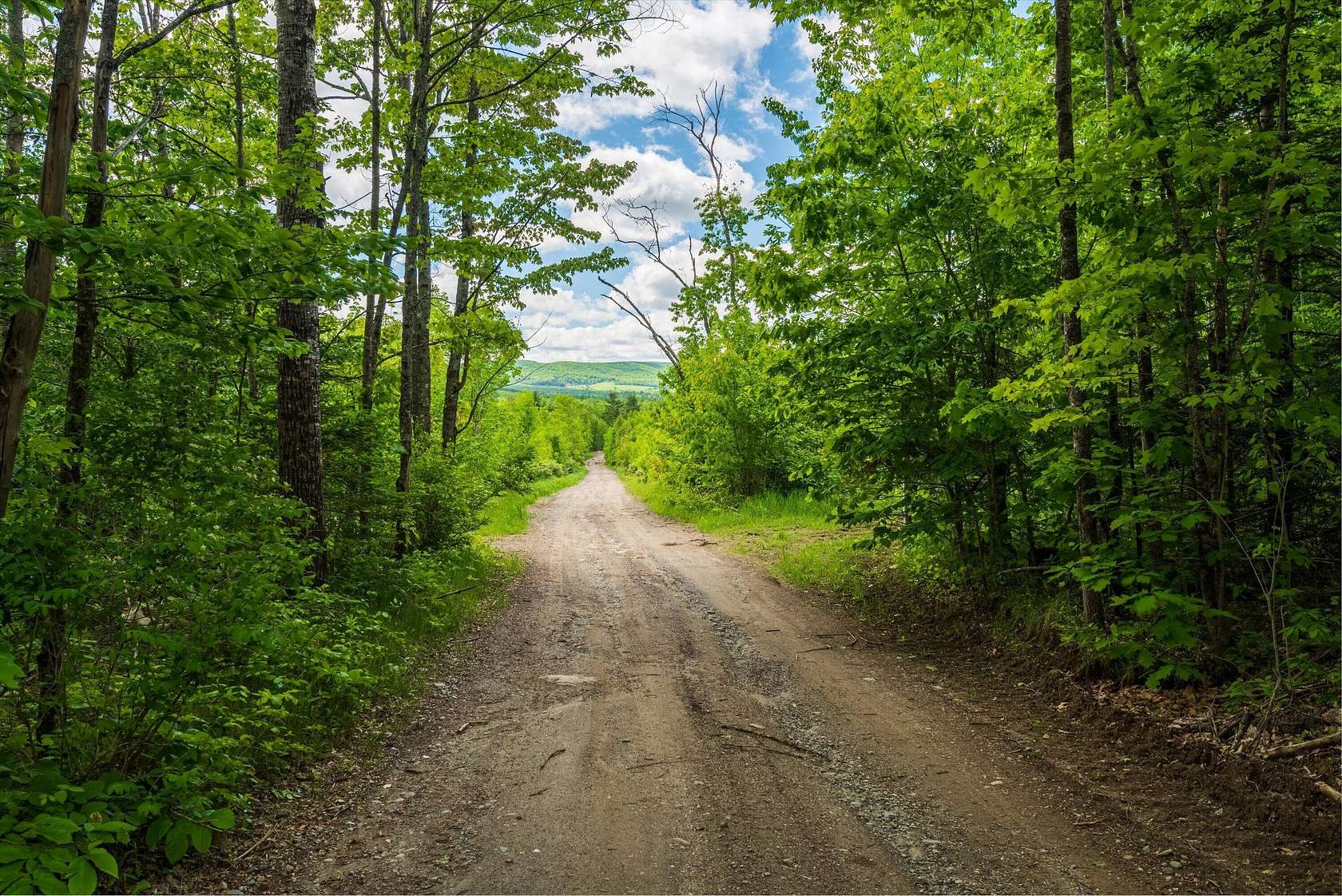 300 Acres of Land for Sale in Dixmont, Maine