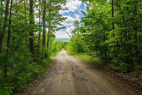 300 Acres of Land for Sale in Dixmont, Maine