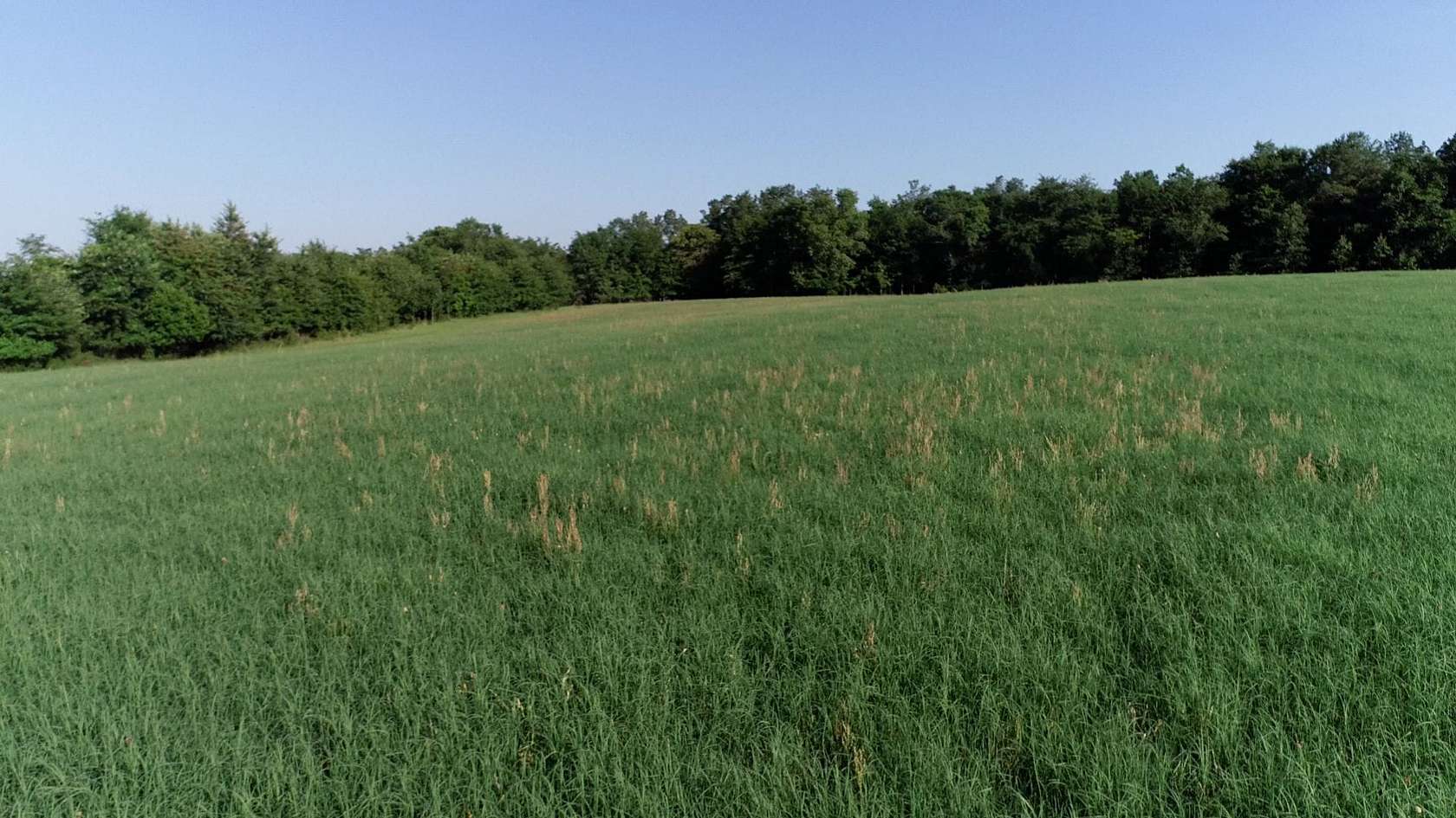 12 Acres of Land for Sale in Bethune, South Carolina