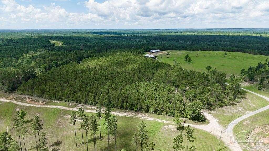 30 Acres of Recreational Land for Sale in Pace, Florida