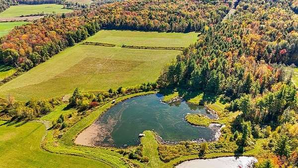 40 Acres of Land for Sale in Owego, New York