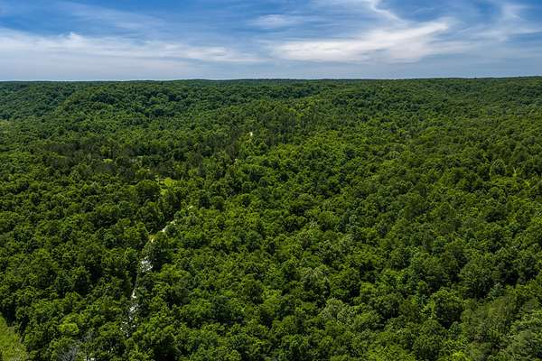 54.5 Acres of Recreational & Residential Land for Sale in Raymondville, Missouri