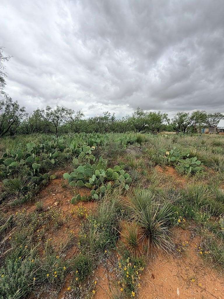 0.96 Acres of Residential Land for Sale in Loraine, Texas