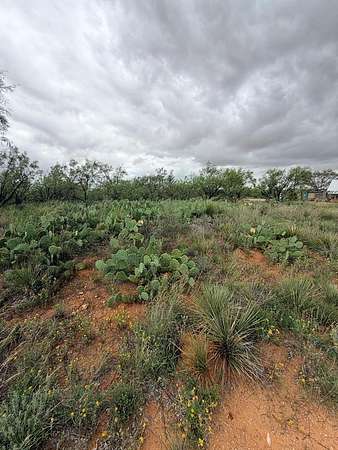 0.96 Acres of Residential Land for Sale in Loraine, Texas