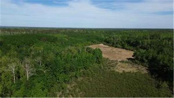 5 Acres of Residential Land for Sale in Lake Emma Township, Minnesota