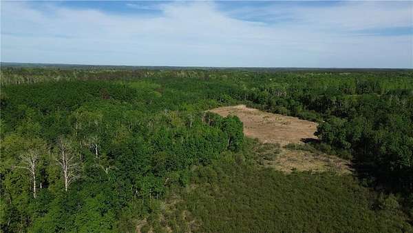 5 Acres of Residential Land for Sale in Lake Emma Township, Minnesota