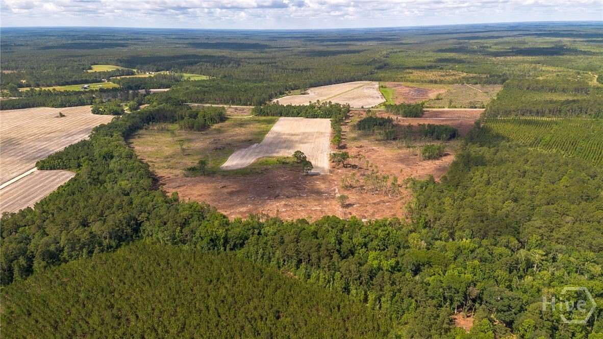 104 Acres of Agricultural Land for Sale in Pembroke, Georgia