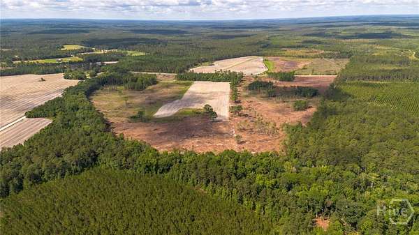 104 Acres of Agricultural Land for Sale in Pembroke, Georgia