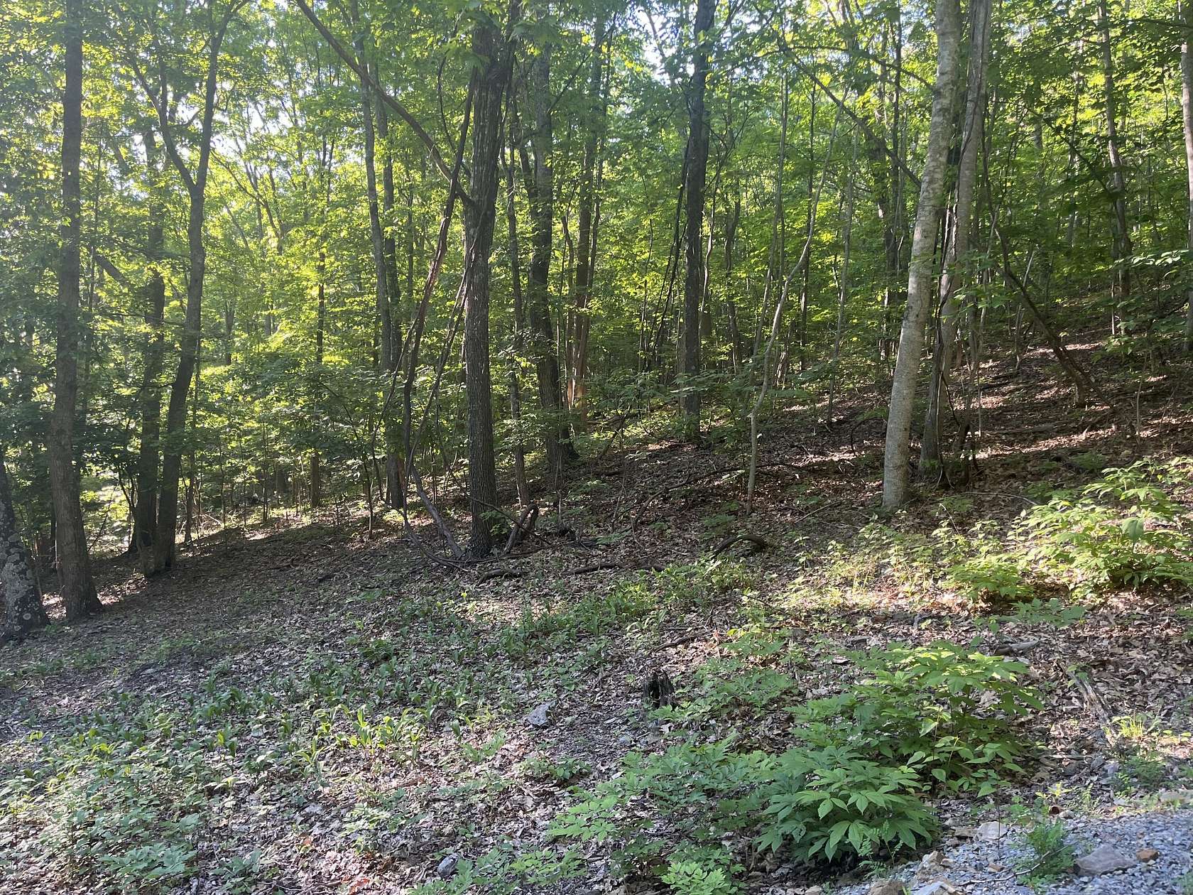1.24 Acres of Residential Land for Sale in Caldwell, West Virginia