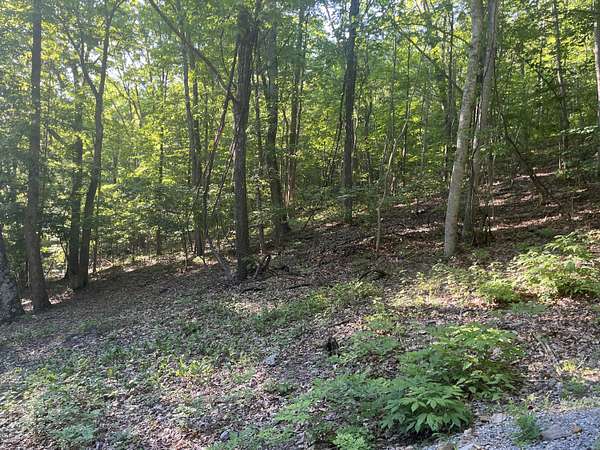 1.24 Acres of Residential Land for Sale in Caldwell, West Virginia