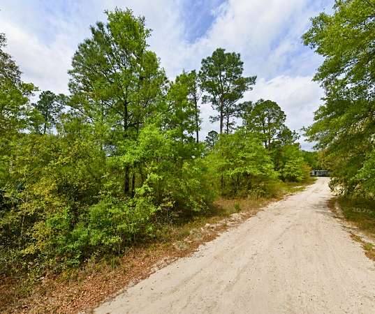 0.52 Acres of Residential Land for Sale in Satsuma, Florida