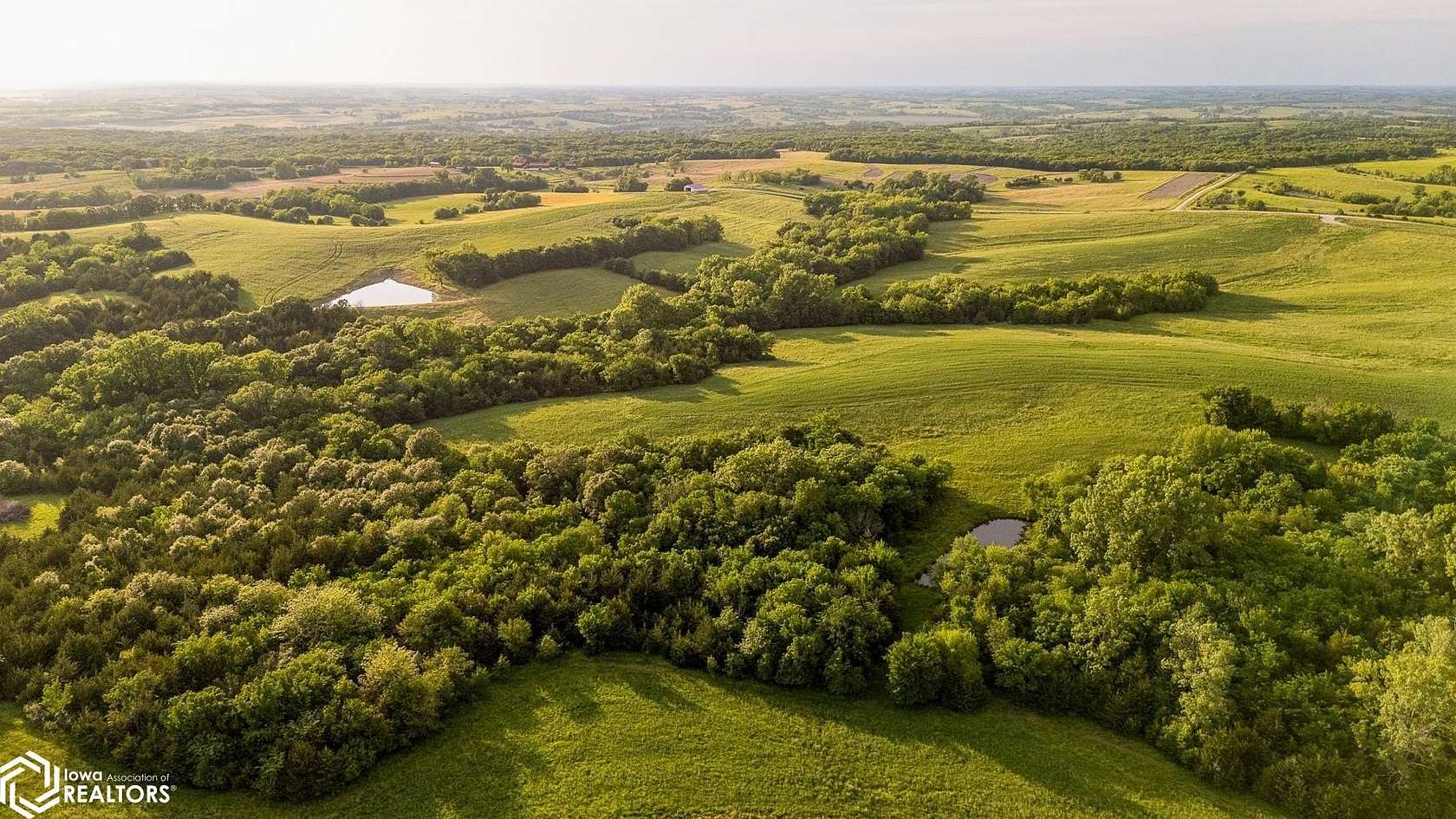387 Acres of Land for Sale in Mount Ayr, Iowa
