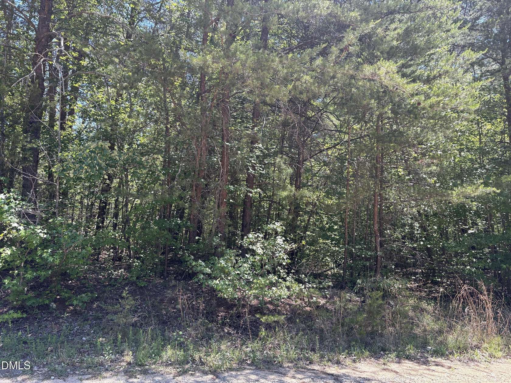 1.24 Acres of Residential Land for Sale in Milton, North Carolina