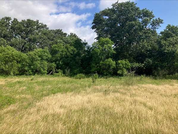 42.5 Acres of Recreational Land for Sale in Mason, Texas