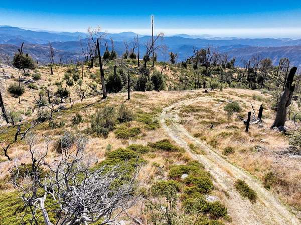 5 Acres of Residential Land for Sale in Shaver Lake, California