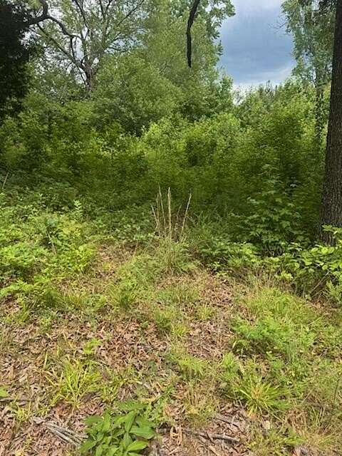 15 Acres of Agricultural Land for Sale in Ringgold, Georgia