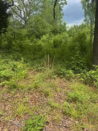 15 Acres of Agricultural Land for Sale in Ringgold, Georgia