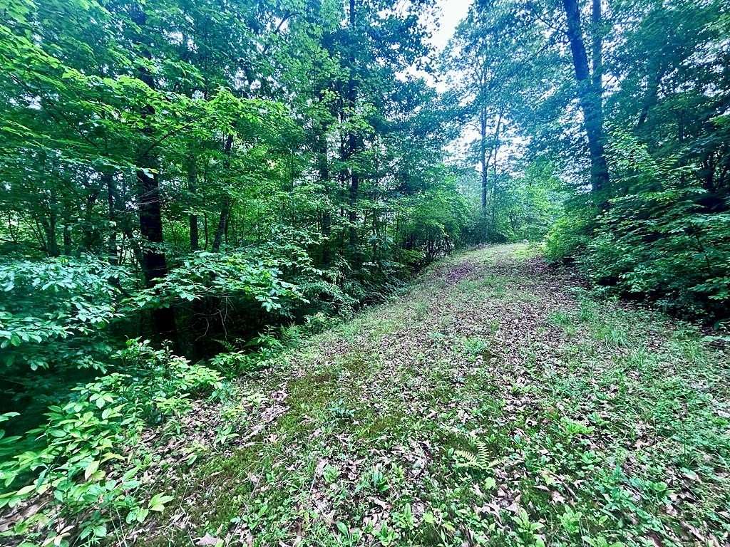 1.79 Acres of Land for Sale in Franklin, North Carolina