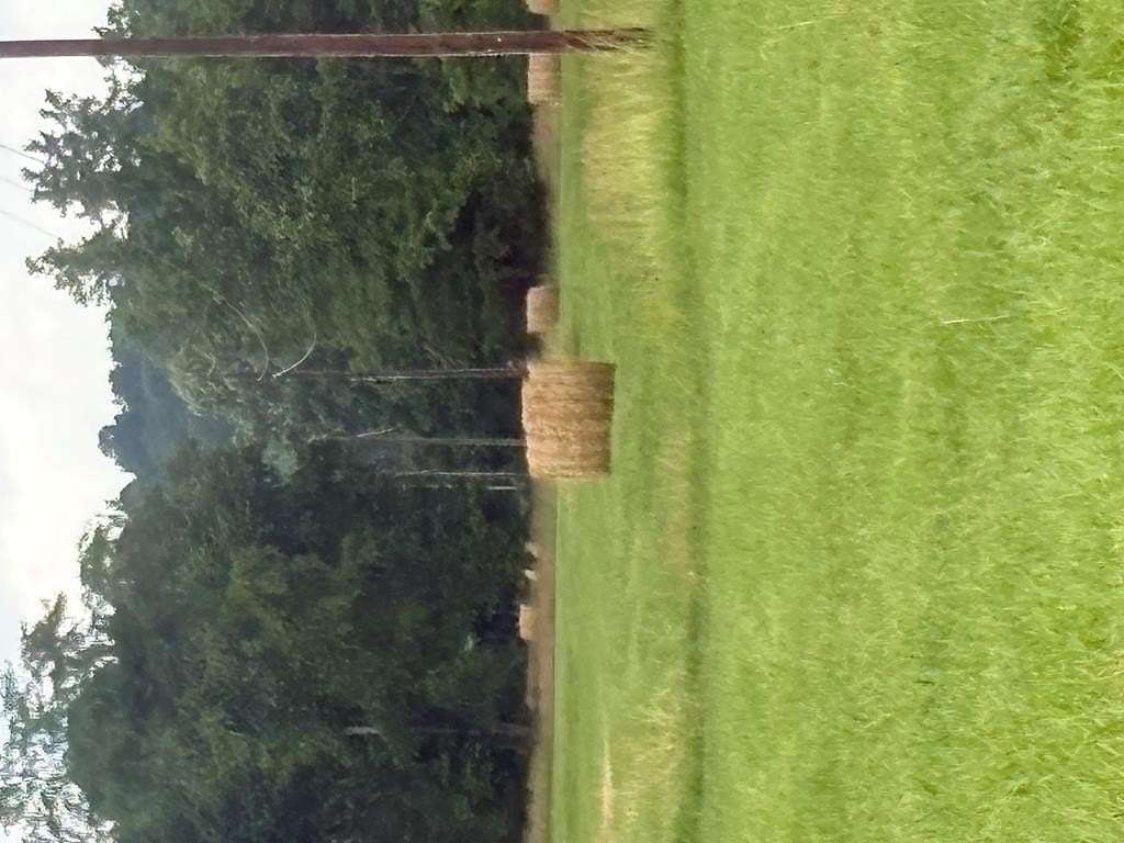 145 Acres of Land for Sale in Cadiz, Kentucky