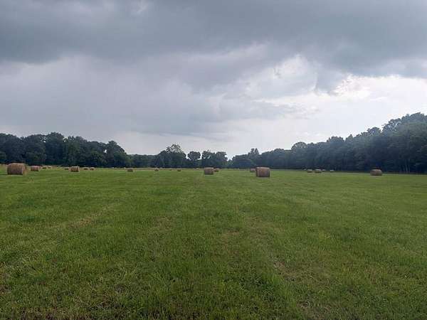 145 Acres of Land for Sale in Cadiz, Kentucky
