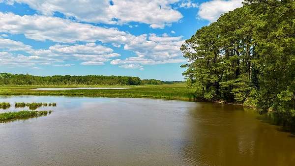 2.55 Acres of Residential Land for Sale in New Church, Virginia