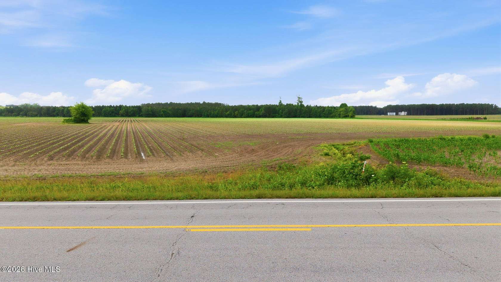 81.2 Acres of Land for Sale in Ayden, North Carolina
