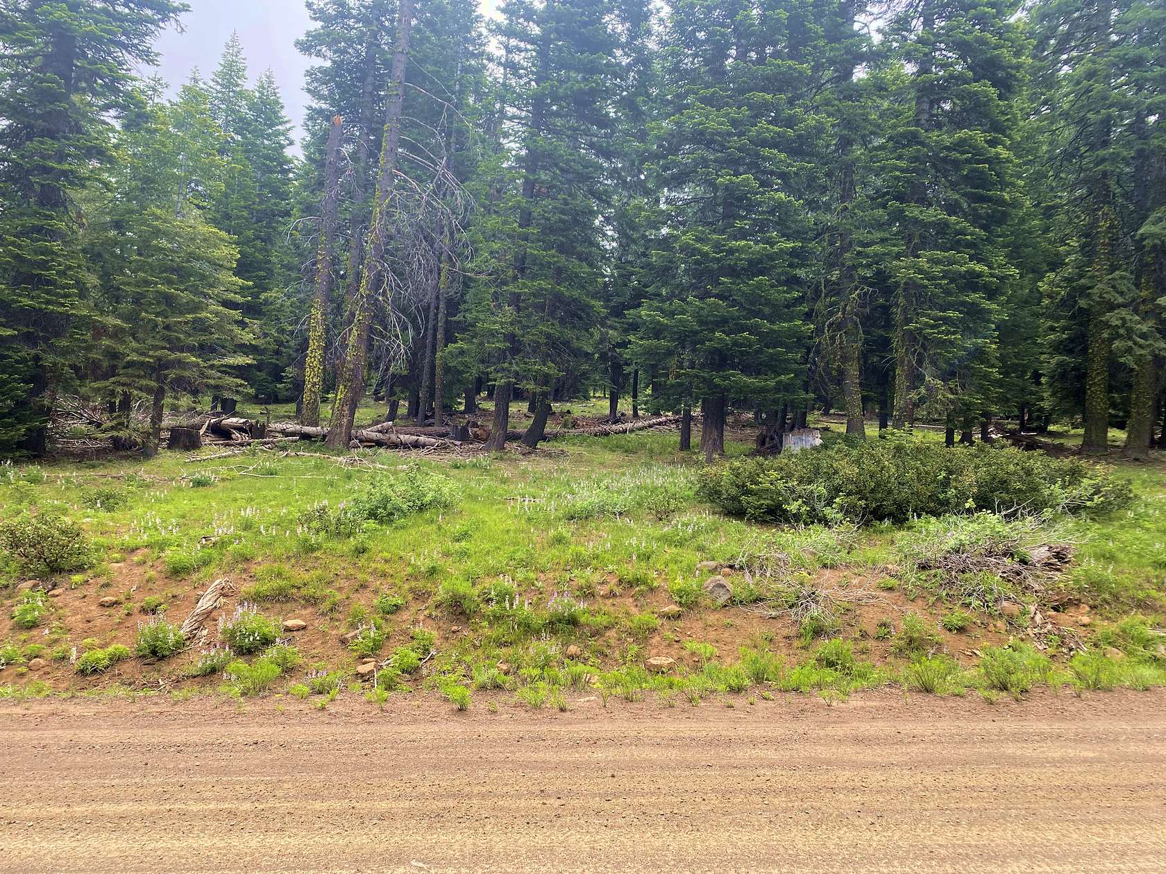 1 Acre of Residential Land for Sale in Alturas, California