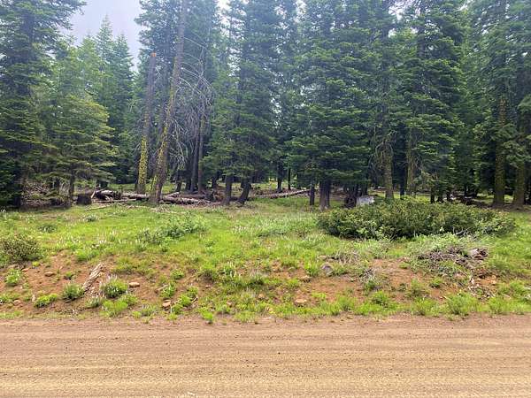 1 Acre of Residential Land for Sale in Alturas, California