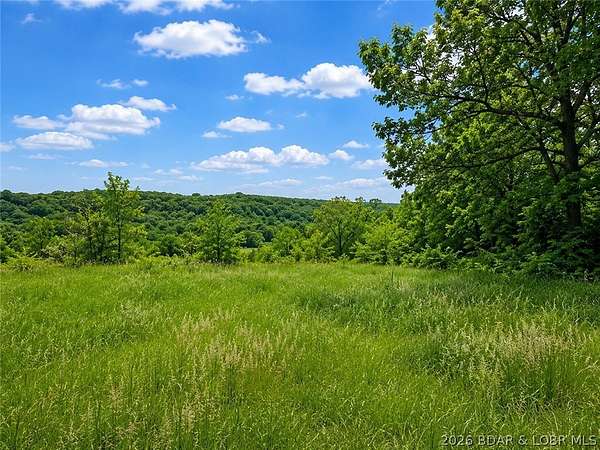 40 Acres of Recreational & Residential Land for Sale in Linn Township, Missouri