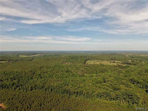 77 Acres of Land for Sale in Detroit, Alabama