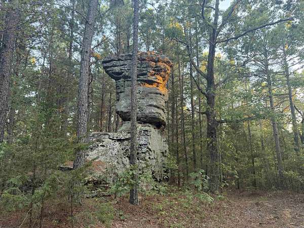 9.75 Acres of Residential Land for Sale in Shirley, Arkansas