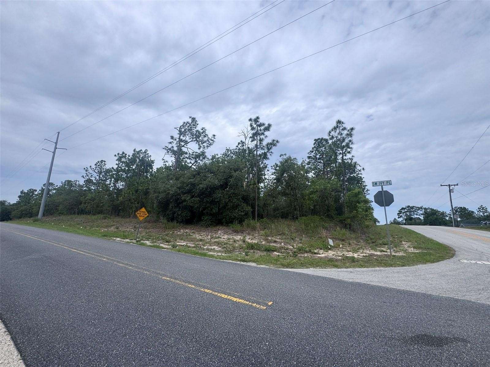 2 Acres of Residential Land for Sale in Dunnellon, Florida