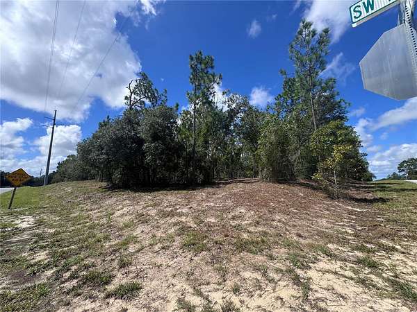 2 Acres of Residential Land for Sale in Dunnellon, Florida