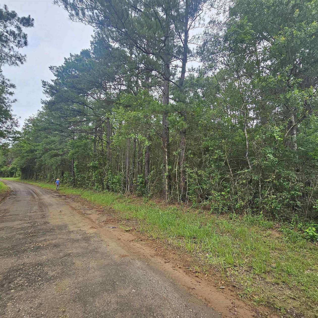 33 Acres of Recreational & Residential Land for Sale in Call, Texas