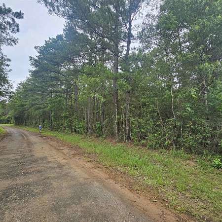 33 Acres of Recreational & Residential Land for Sale in Call, Texas