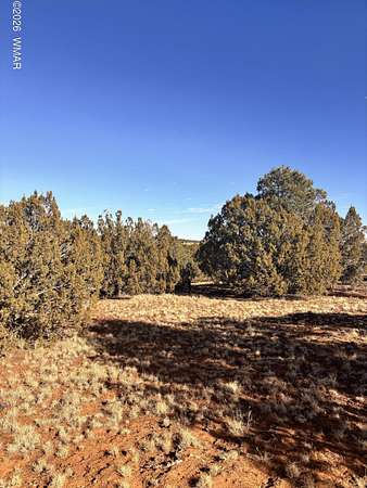 0.46 Acres of Residential Land for Sale in Concho, Arizona