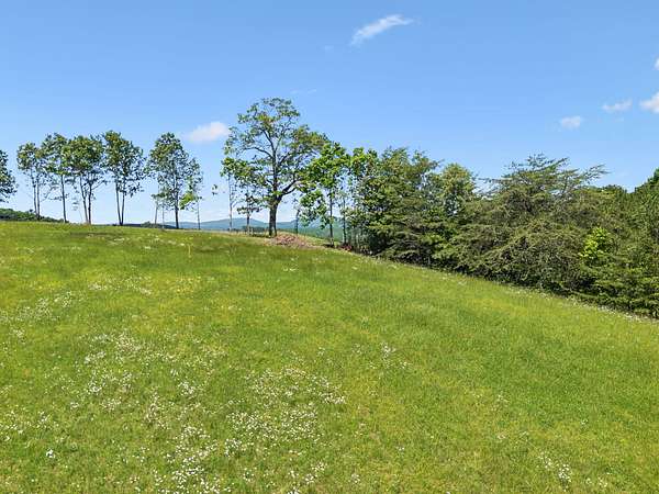 22 Acres of Land for Sale in Grandview, Tennessee