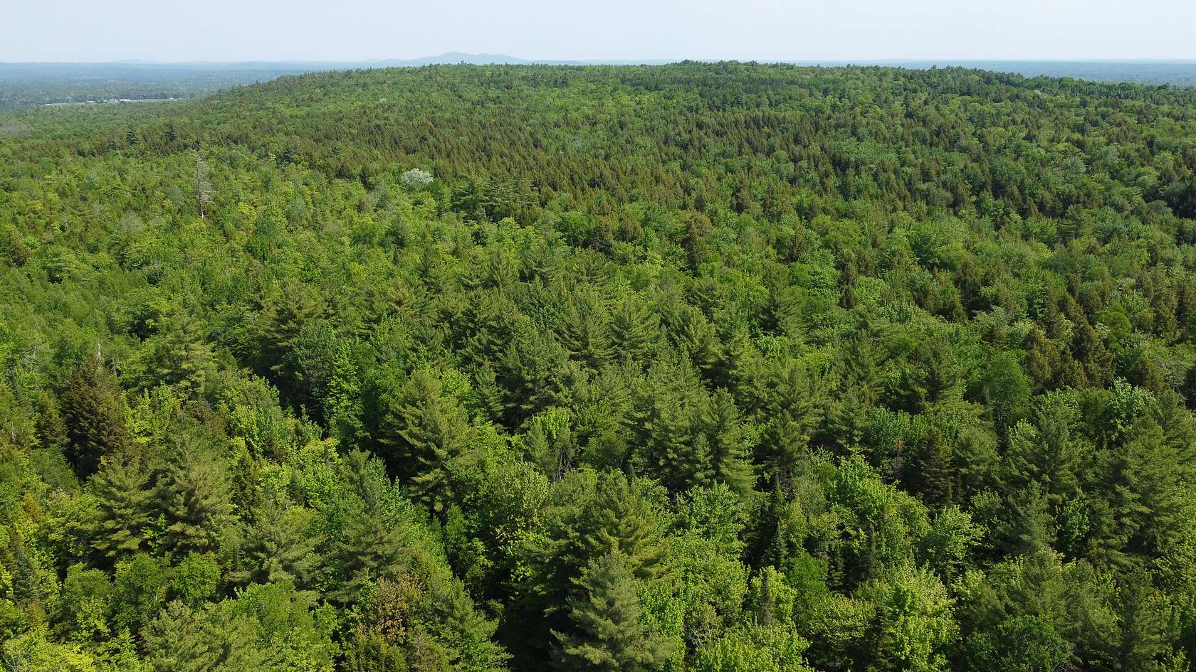100 Acres of Land for Sale in Lagrange, Maine