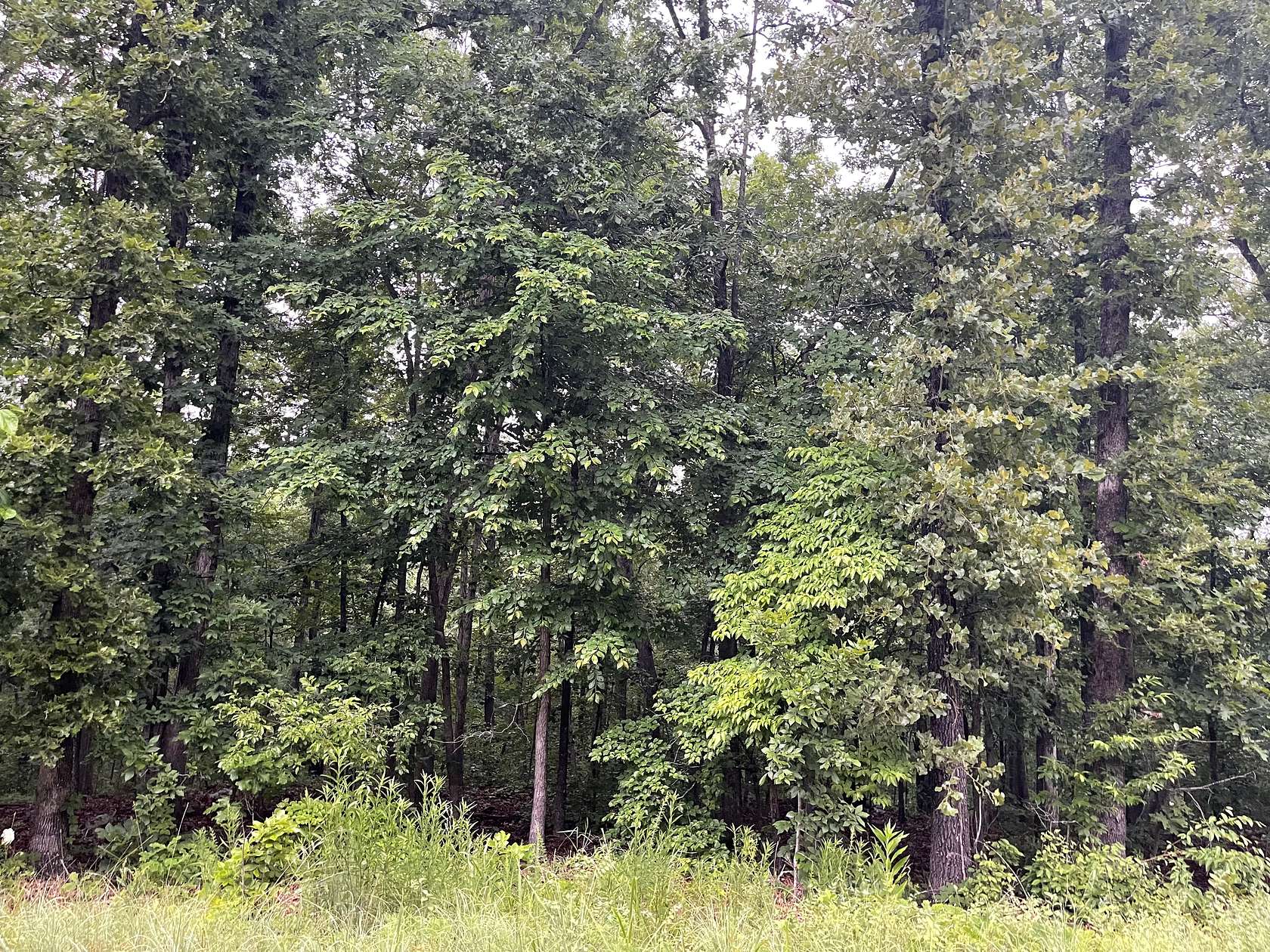 0.59 Acres of Residential Land for Sale in Cherokee Village, Arkansas