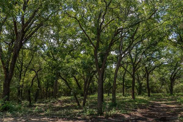 30.9 Acres of Land for Sale in Tolar, Texas