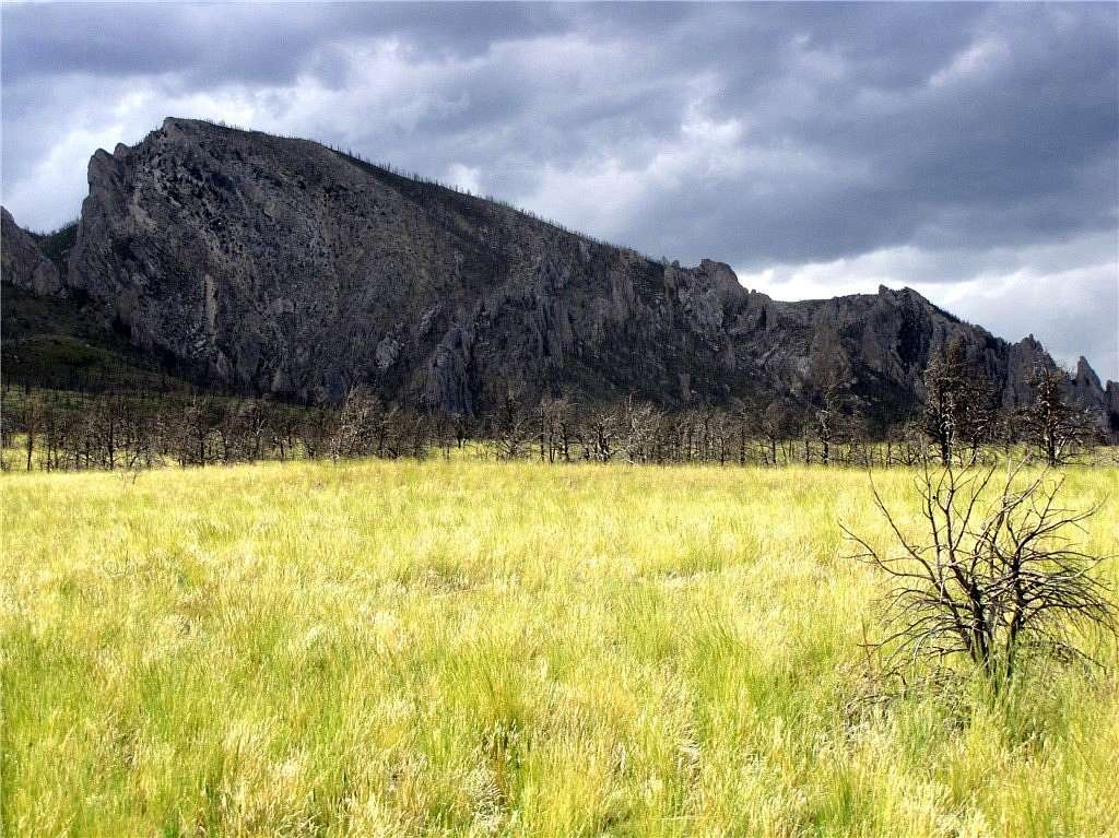 20 Acres of Recreational & Residential Land for Sale in Belfry, Montana