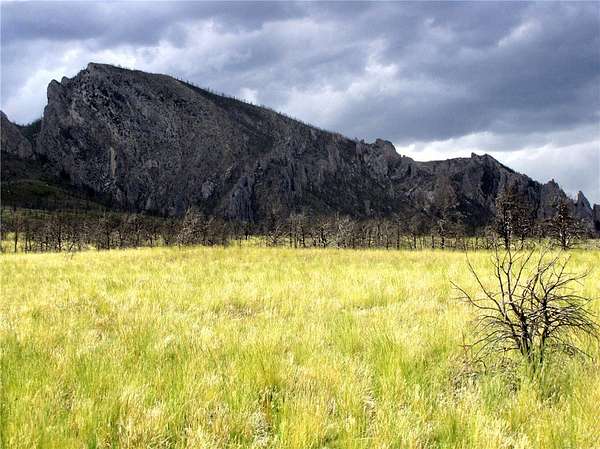 20 Acres of Recreational & Residential Land for Sale in Belfry, Montana