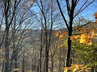 11 Acres of Recreational Land for Sale in Delhi, New York