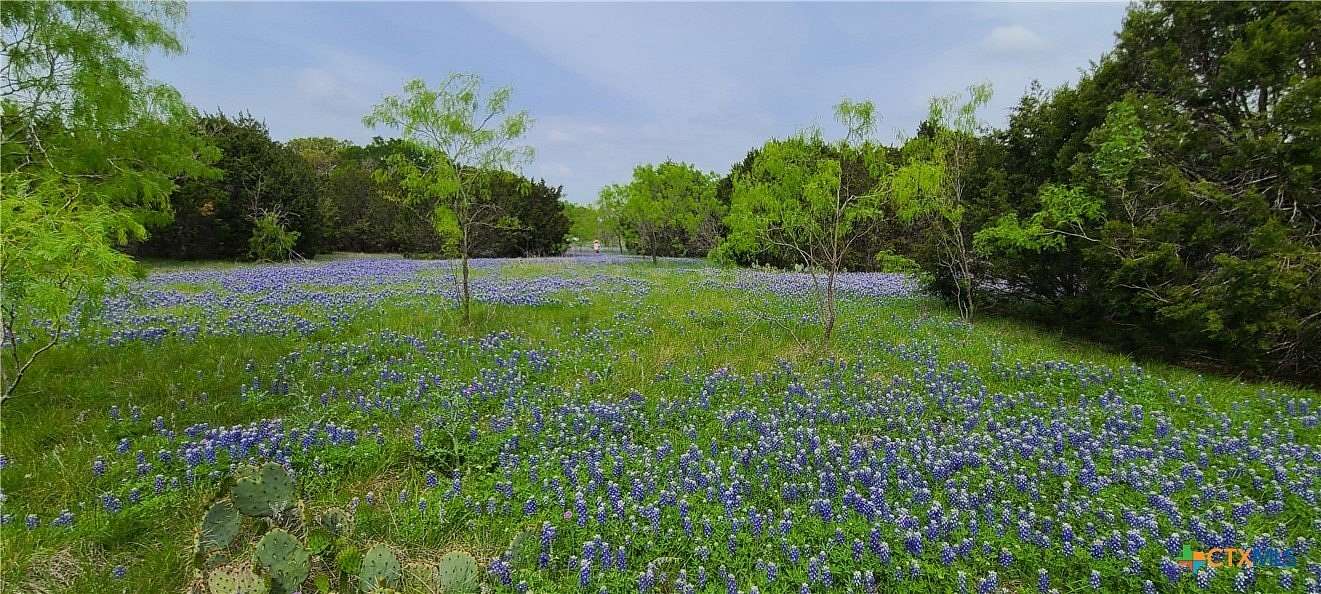 89.1 Acres of Recreational & Residential Land for Sale in Kempner, Texas